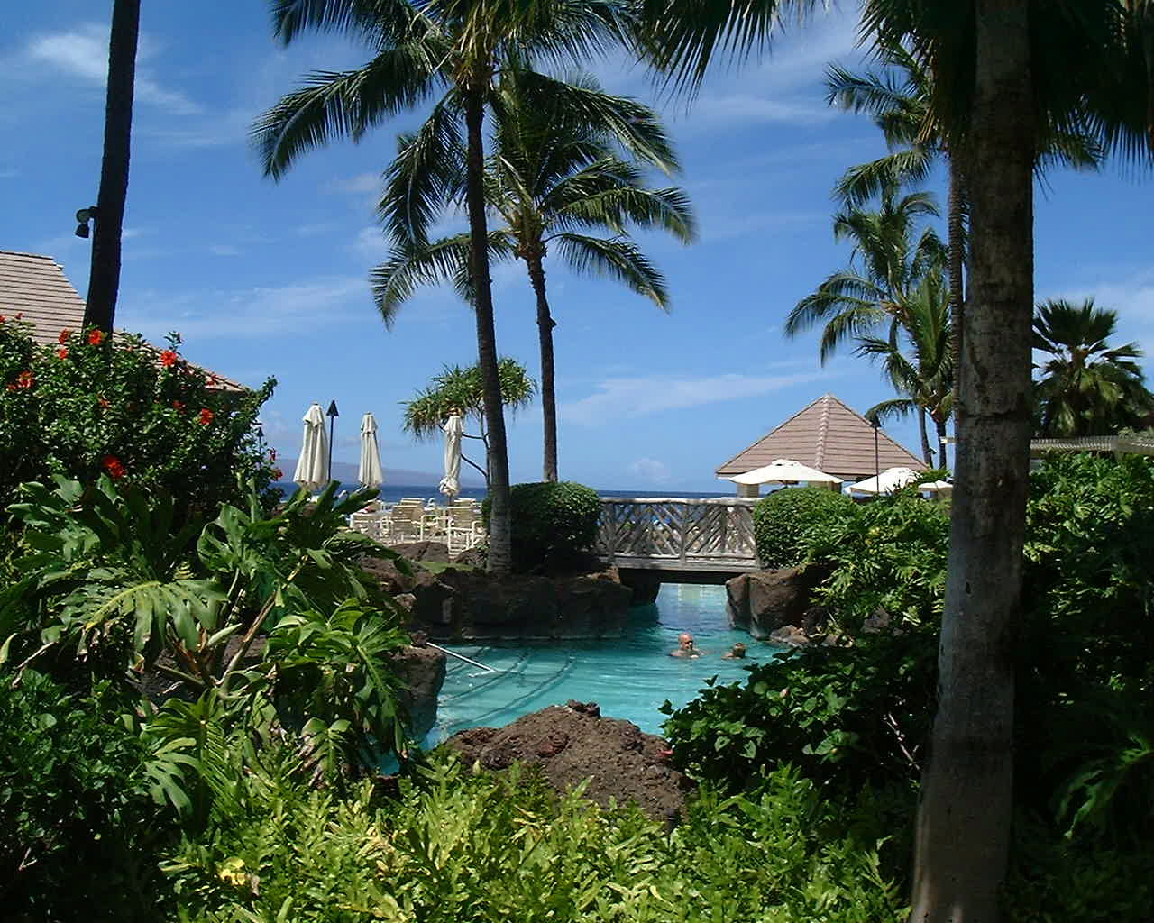 �l���s�A�C�O�z�e���A�I�����C���\��A�r�[�`���]�[�g�A�r���^���A�Ƒ����s�A�ċx��