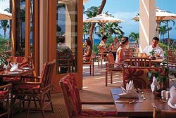 �Ƒ����s�A�n���C�A�}�E�C�A�V�F���g���A�J�A�i�p���A�E�F�X�e�B���A�X�^�[�E�b�h�A�l���s�A�C�O�z�e���A�v�[���A�}�E�C�E�G�X�g��`�A�J�p���A��`,���X�g����