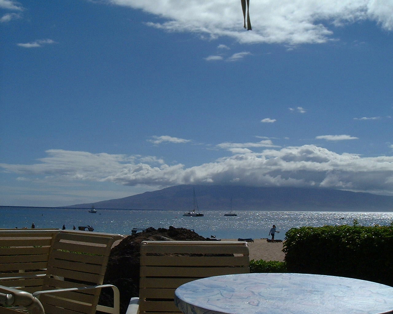 �Ƒ����s�A�n���C�A�}�E�C�A�V�F���g���A�J�A�i�p���A�E�F�X�e�B���A�X�^�[�E�b�h�A�l���s�A�C�O�z�e���A�v�[���A�}�E�C�E�G�X�g��`�A�J�p���A��`,�C