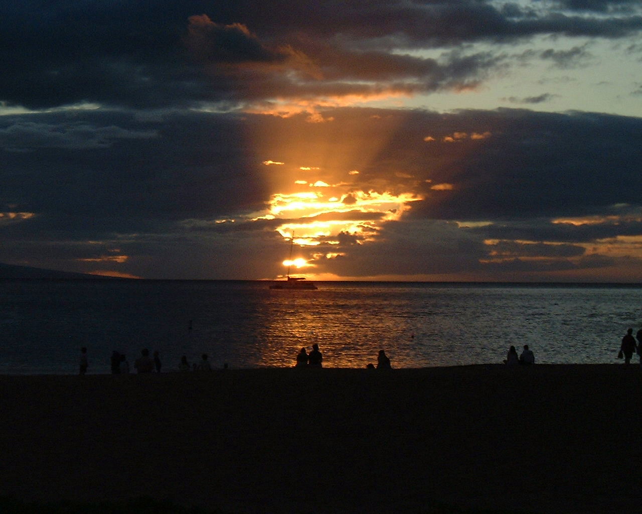 �Ƒ����s�A�n���C�A�}�E�C�A�V�F���g���A�J�A�i�p���A�E�F�X�e�B���A�X�^�[�E�b�h�A�l���s�A�C�O�z�e���A�v�[���A�}�E�C�E�G�X�g��`�A�J�p���A��`,�C��i