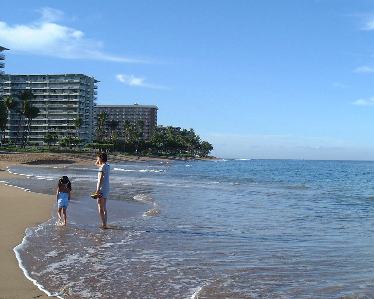 �Ƒ����s�A�n���C�A�}�E�C�A�V�F���g���A�J�A�i�p���A�E�F�X�e�B���A�X�^�[�E�b�h�A�l���s�A�C�O�z�e���A�v�[���A�}�E�C�E�G�X�g��`�A�J�p���A��`,�C