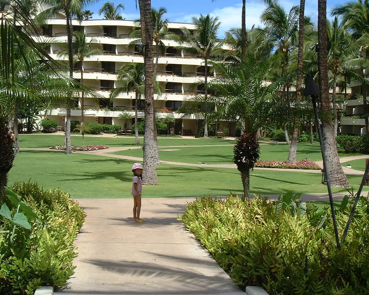 �Ƒ����s�A�n���C�A�}�E�C�A�V�F���g���A�J�A�i�p���A�E�F�X�e�B���A�X�^�[�E�b�h�A�l���s�A�C�O�z�e���A�v�[���A�}�E�C�E�G�X�g��`�A�J�p���A��`,�K�[�f��