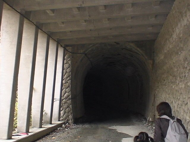 �O��F���[�V���k�J