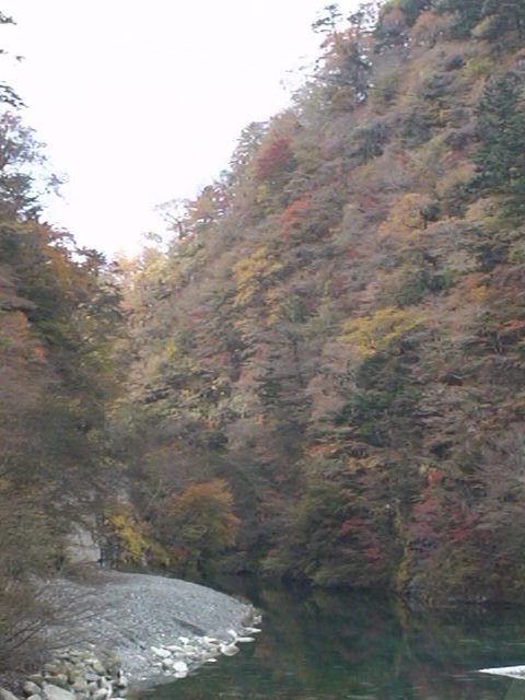 �O��F���[�V���k�J