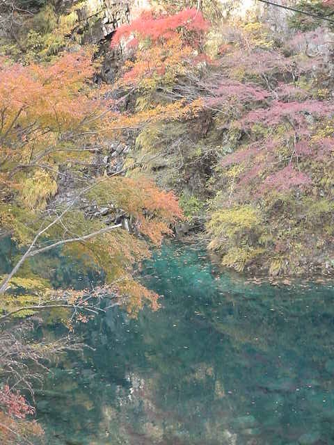 �O��F���[�V���k�J