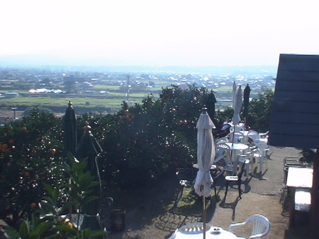 �݂�����