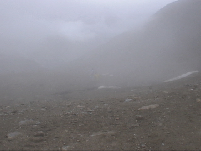 �E���^�[���[�g�z�����A�ċx�݁A�Ƒ����s�A�X�C�X�A�p���A�X�g���X�u�[���A�R���}�[���A�A���U�X�A�c�F���}�b�g�A�A���v�X�A�n�C�L���O�A�����^�J�[�A���[���b�p"�A�S���i�[�O���[�g�A�X�l�K�A�N���C���E�}�b�^�[�z�����A�}�b�^�[�z����