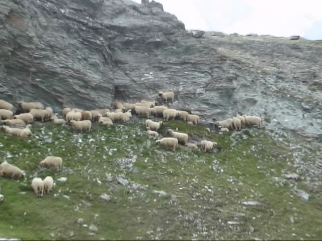 �V���^�C���{�b�N�A�ċx�݁A�Ƒ����s�A�X�C�X�A�p���A�X�g���X�u�[���A�R���}�[���A�A���U�X�A�c�F���}�b�g�A�A���v�X�A�n�C�L���O�A�����^�J�[�A���[���b�p"�A�S���i�[�O���[�g�A�X�l�K�A�N���C���E�}�b�^�[�z�����A�}�b�^�[�z����