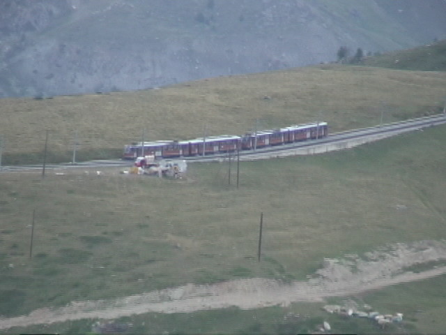 �ċx�݁A�Ƒ����s�A�X�C�X�A�p���A�X�g���X�u�[���A�R���}�[���A�A���U�X�A�c�F���}�b�g�A�A���v�X�A�n�C�L���O�A�����^�J�[�A���[���b�p"�A�S���i�[�O���[�g�A�X�l�K�A�N���C���E�}�b�^�[�z�����A�}�b�^�[�z����