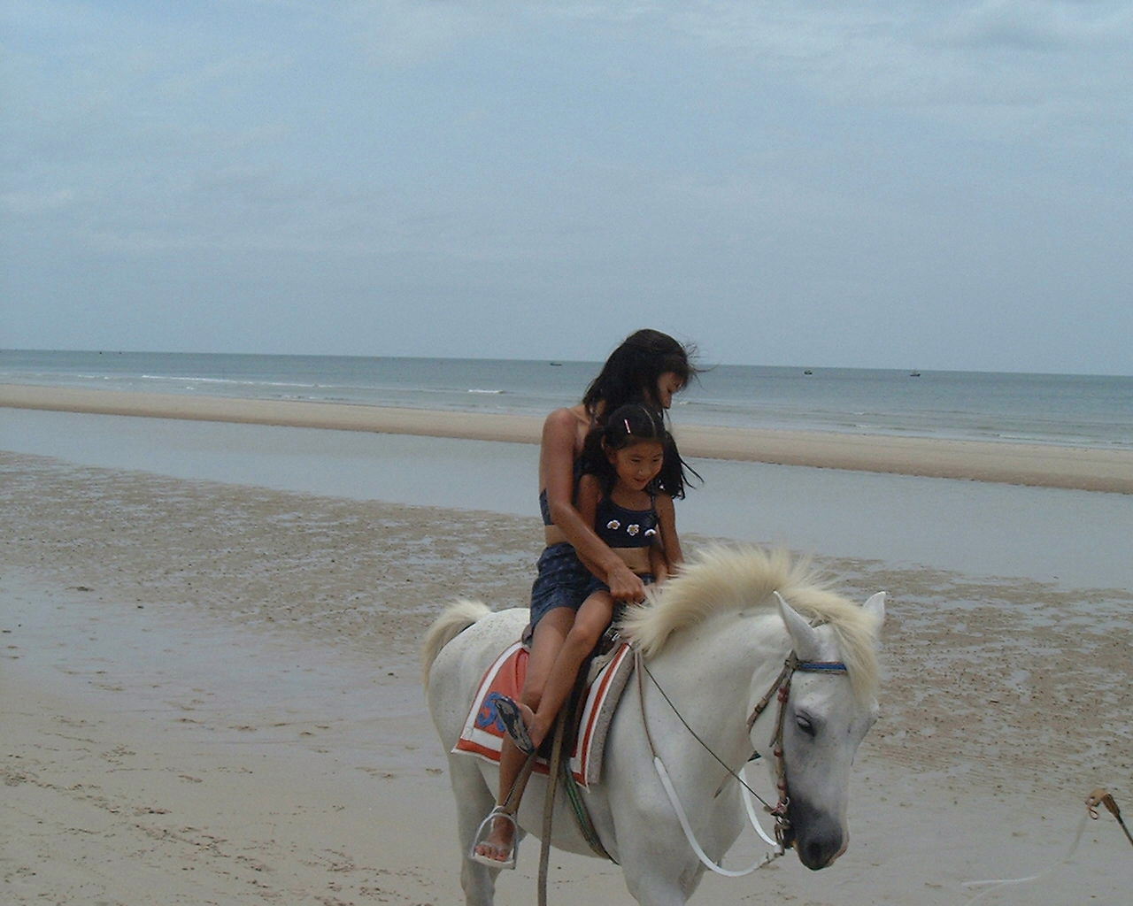 �Ƒ����s�A�z�A�q���A�^�C�A�r�[�`���]�[�g�A�n�C�A�b�g�E���[�W�F���V�[�E�z�A�q���A�l���s�A�C�O�z�e���A�I�����C���\��A�ċx��,��n