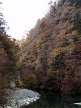 �O��F���[�V���k�J